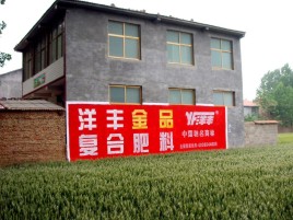  浚县如何让墙体广告展现最大化效果